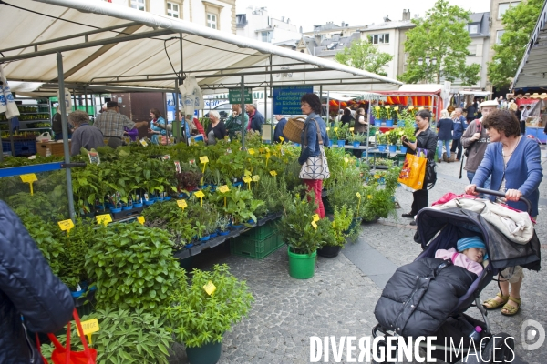 Un week end à Luxembourg.Au marché du samedi place Guillaume 2 dans la vieille ville, un marchand de plantes aromatiques