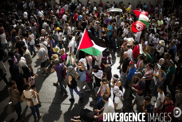 Manifestation pro palestinienne