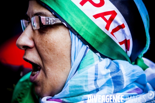 Manifestation Pro-Palestinienne interdite.