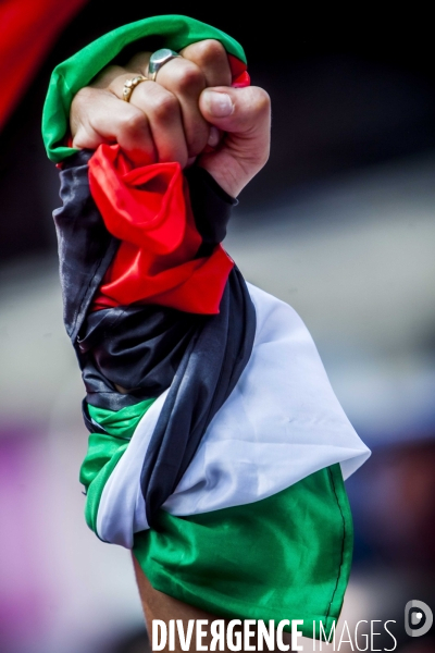 Manifestation Pro-Palestinienne interdite.