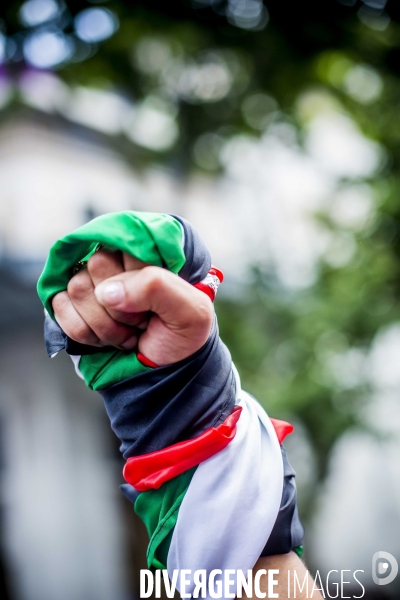 Manifestation Pro-Palestinienne interdite.