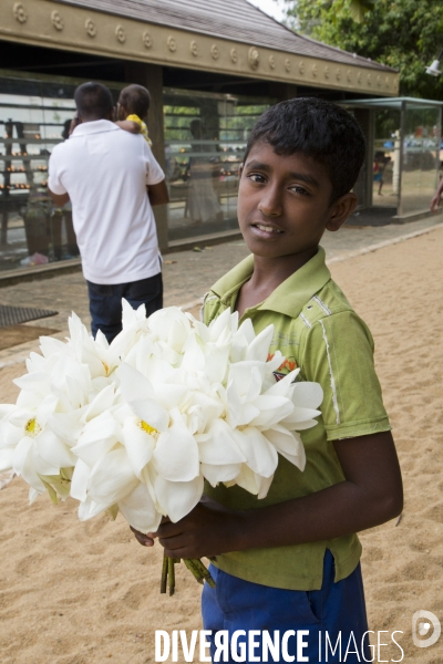 Sri lanka
