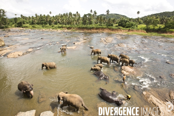 Sri lanka