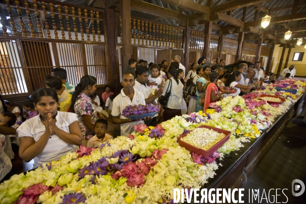 Sri lanka