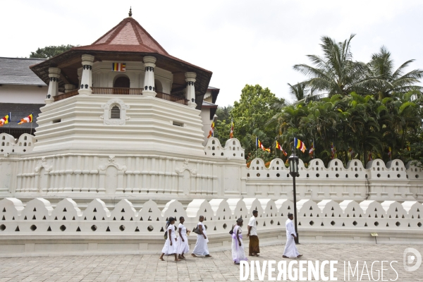 Sri lanka