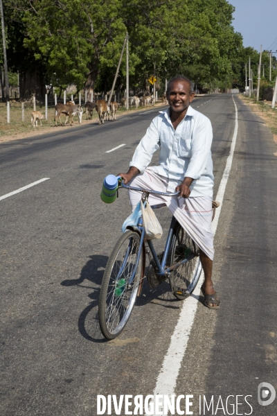 Sri lanka