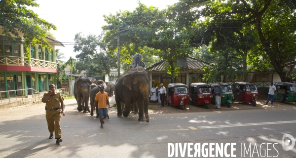 Sri lanka