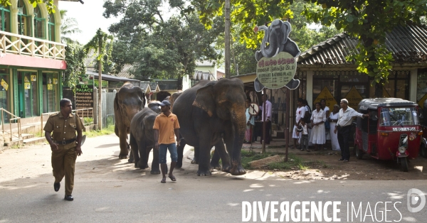 Sri lanka