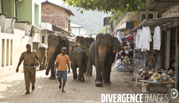 Sri lanka