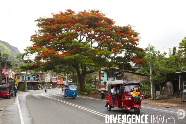 Sri lanka