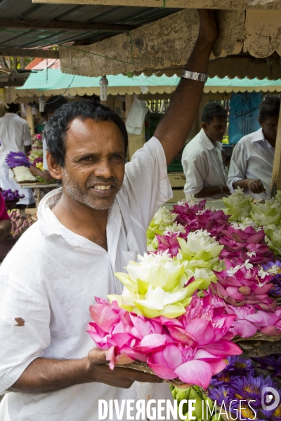 Sri lanka