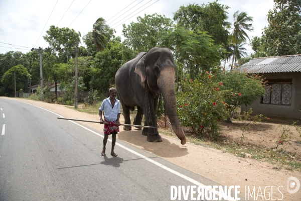 Sri lanka