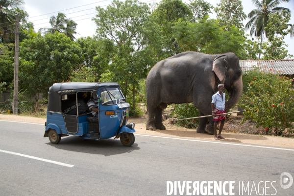 Sri lanka