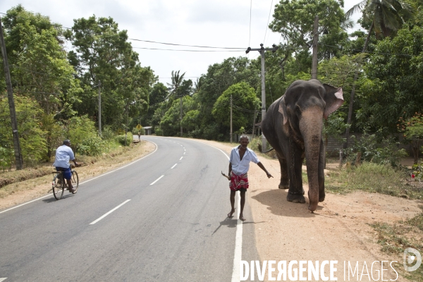 Sri lanka