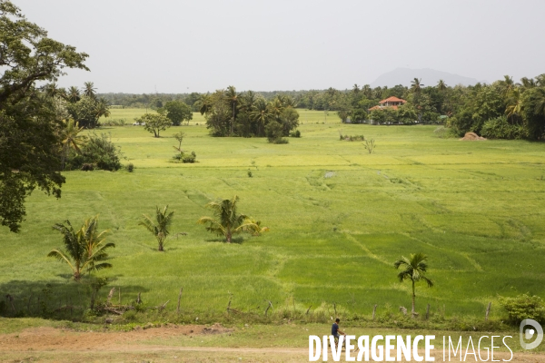 Sri lanka