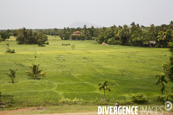 Sri lanka