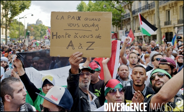 Manifestation Pro Palestinienne