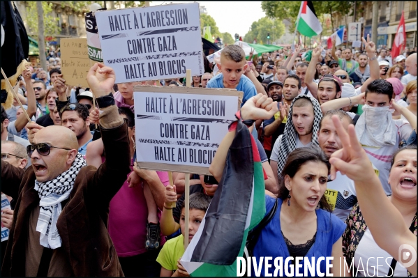 Manifestation Pro Palestinienne