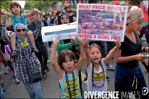 Manifestation Pro Palestinienne