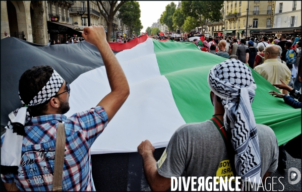 Manifestation Pro Palestinienne