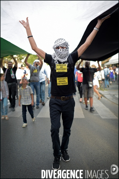Manifestation Pro Palestinienne