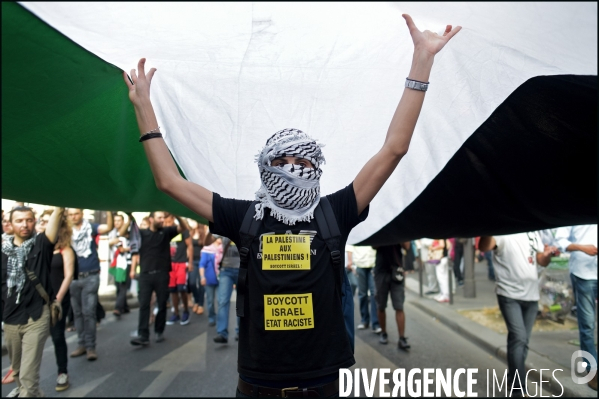 Manifestation Pro Palestinienne