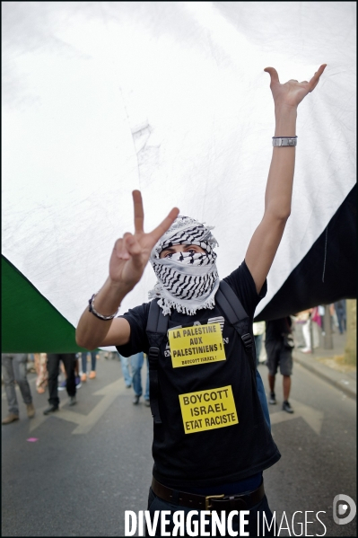 Manifestation Pro Palestinienne