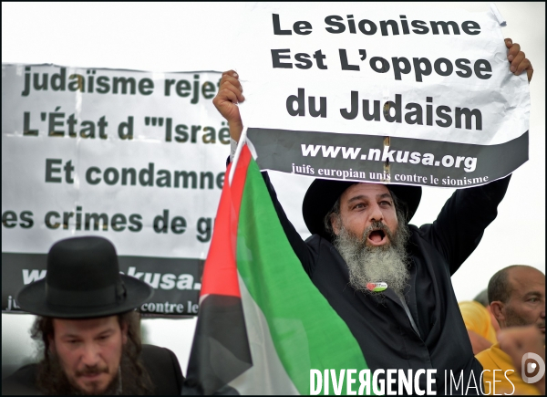 Manifestation Pro Palestinienne