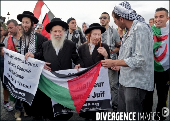 Manifestation Pro Palestinienne