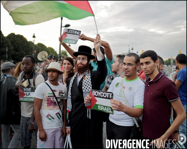 Manifestation Pro Palestinienne