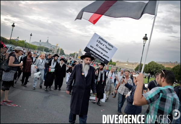 Manifestation Pro Palestinienne