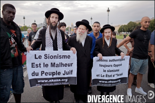 Manifestation Pro Palestinienne