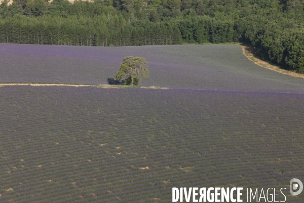 Vue aérienne Valensole Sainte Croix