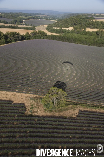 Vue aérienne Valensole Sainte Croix