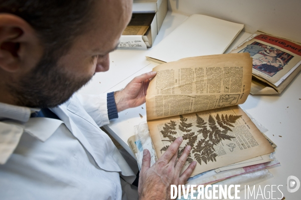 Collections des  herbiers des Poilus ou des tranchées , Herbier Museum National d Histoire Naturelle