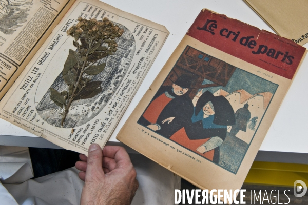 Collections des  herbiers des Poilus ou des tranchées , Herbier Museum National d Histoire Naturelle