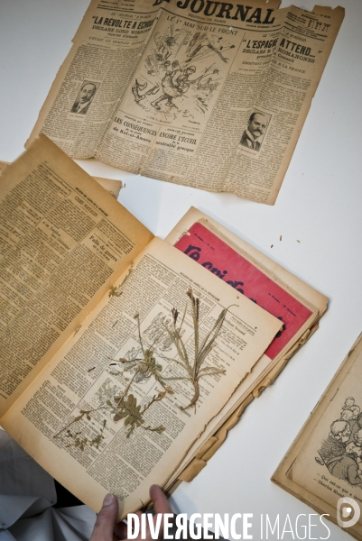 Collections des  herbiers des Poilus ou des tranchées , Herbier Museum National d Histoire Naturelle