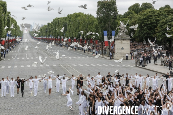 Cérémonie du 14 juillet 2014