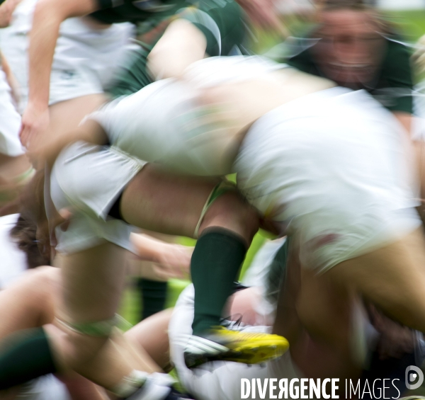 Coupe du monde féminine de rugby