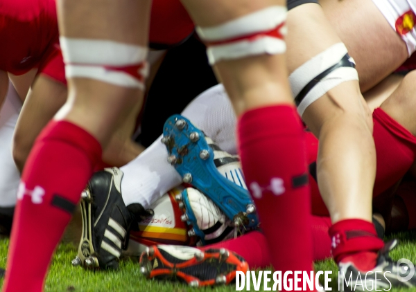 Coupe du monde féminine de rugby