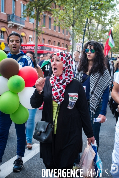 Manifestation pro palestienienne, Toulouse
