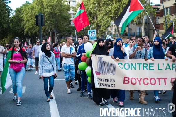 Manifestation pro palestienienne, Toulouse