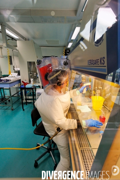 Lyon :  Laboratoire P4 des virus pathogènes mortels