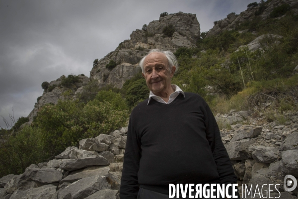L Homme de Tautavel