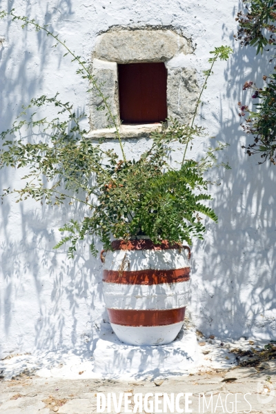 Grece. Ete 2014.Ile d Amorgos.Hora, une jarre decoree et plantee devant une maison de la ville haute
