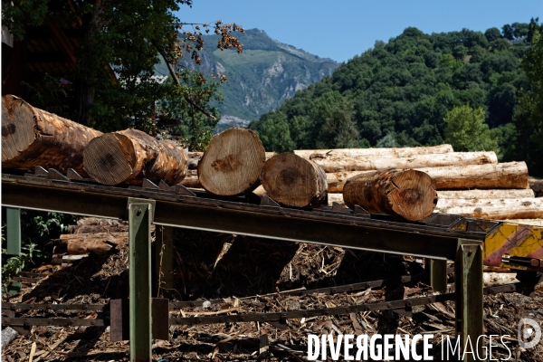 La scierie Sanguinet d Argelès-Gazost