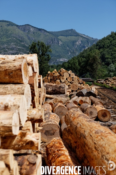 La scierie Sanguinet d Argelès-Gazost