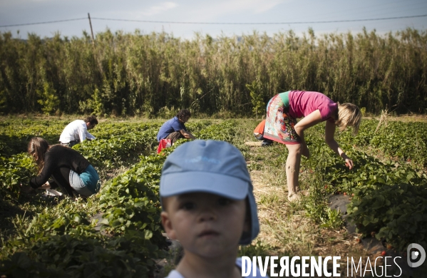 Première AMAP en France