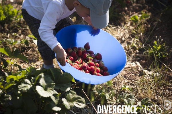 Première AMAP en France