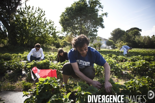 Première AMAP en France